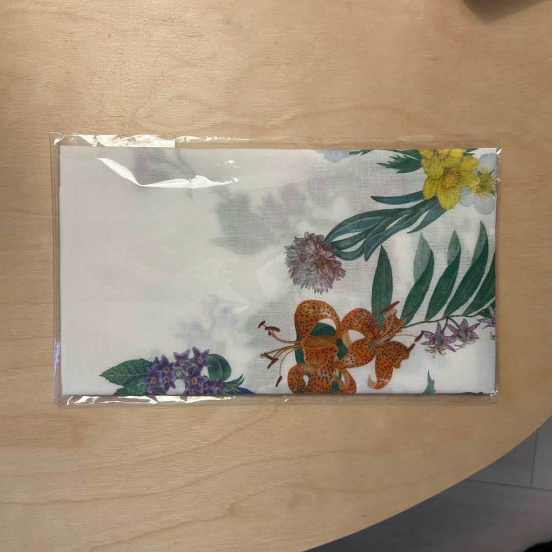 アークテリクス　ARC’TERYX 風呂敷