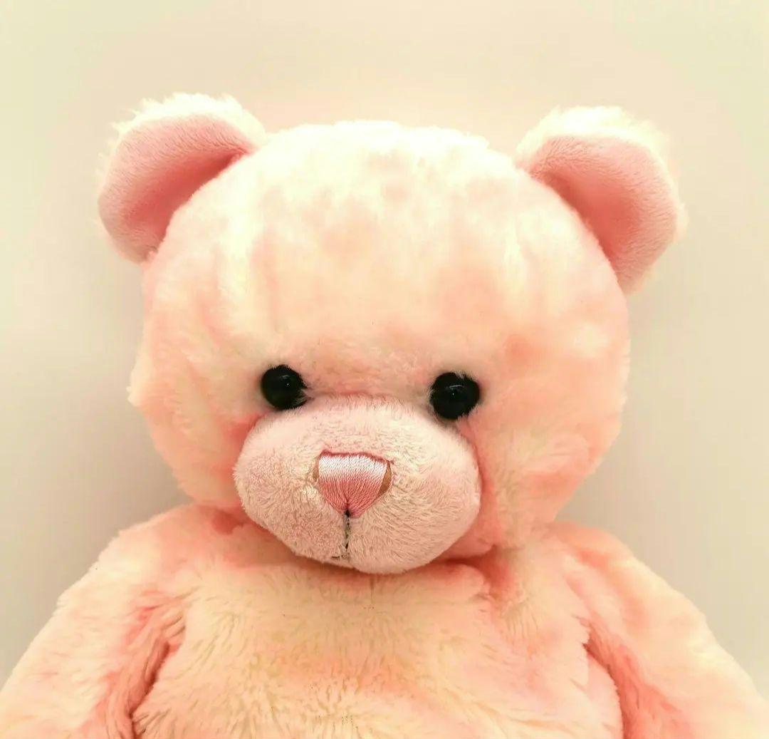 激レア 希少 ビルドアベア さくらテディ 日本限定 ぬいぐるみ 桜