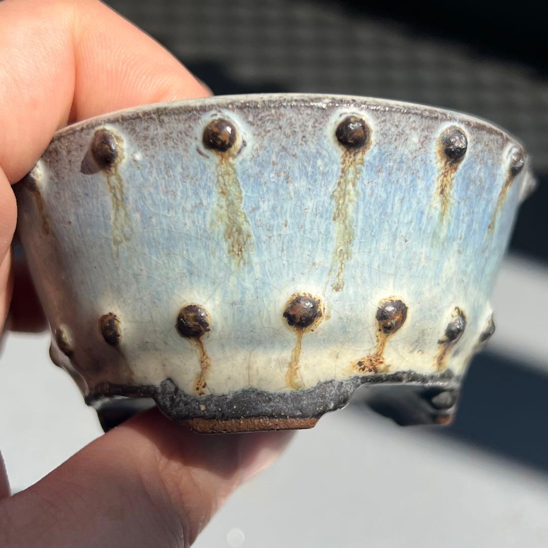 781.暁雲 鼓釘丸鉢 盆栽鉢 植木鉢 8.4*4.3cm