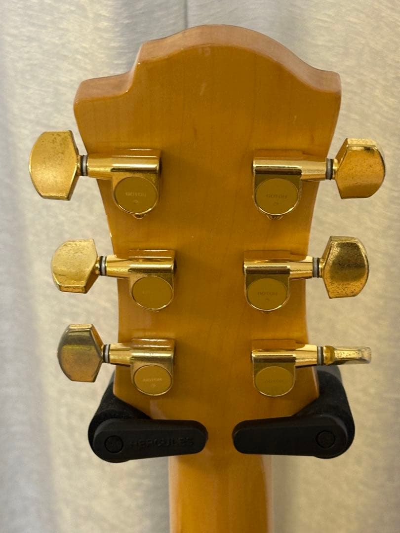 Fernandes BURNY MG-80X （MG-120X）BLK