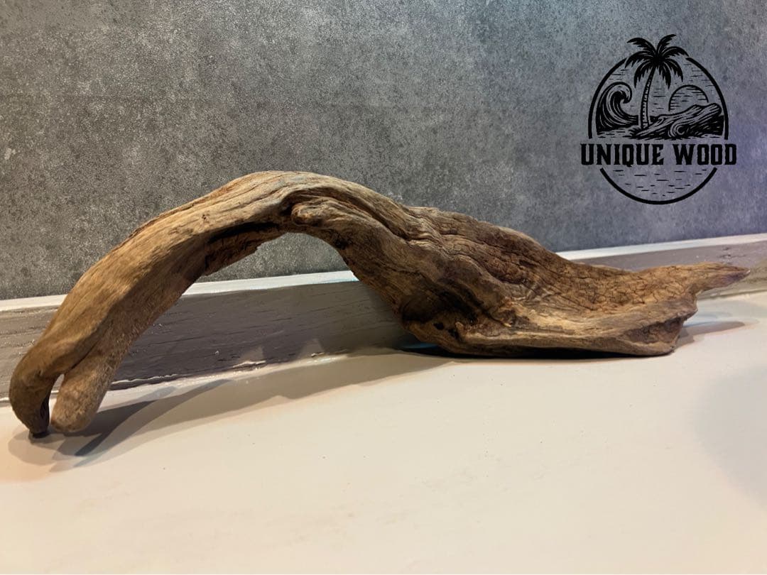 【コエポン】12点まとめ買い