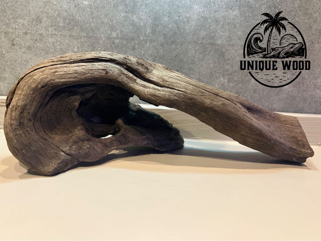 【コエポン】12点まとめ買い