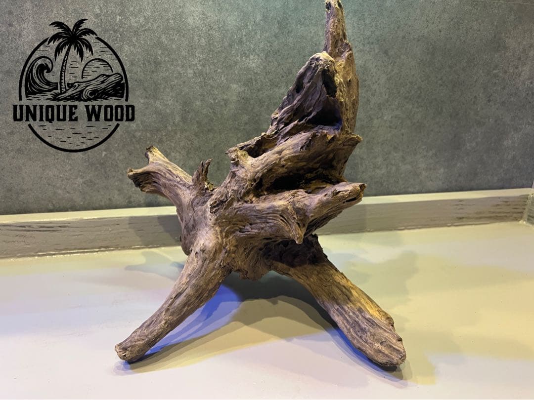 【コエポン】12点まとめ買い