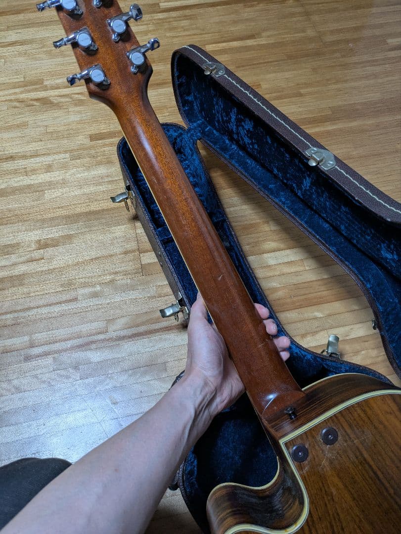 【レア】タコマ　TACOMA Chief C3C