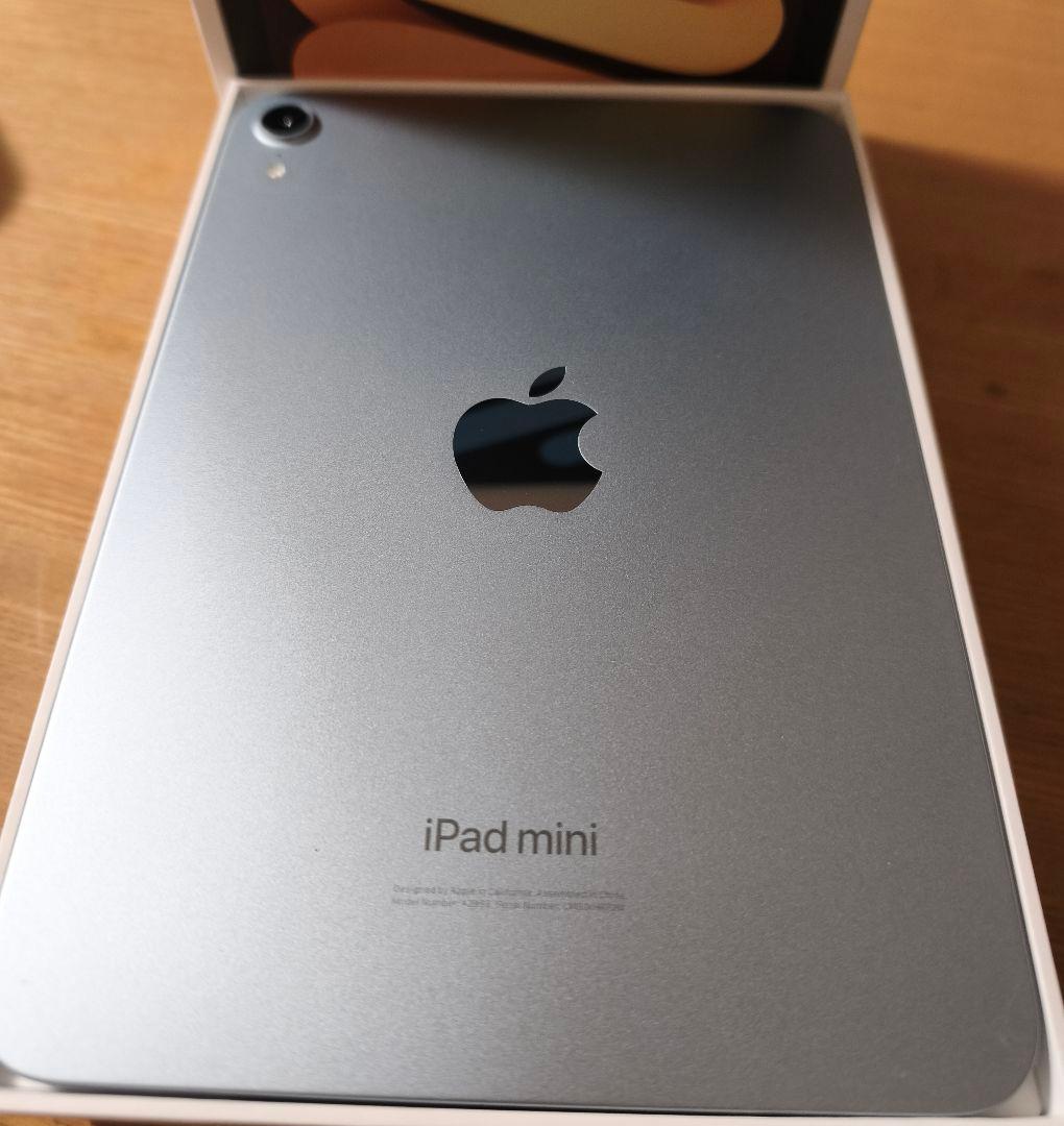 iPad mini 第7世代（A17 Pro）ブルー、 ケース付き