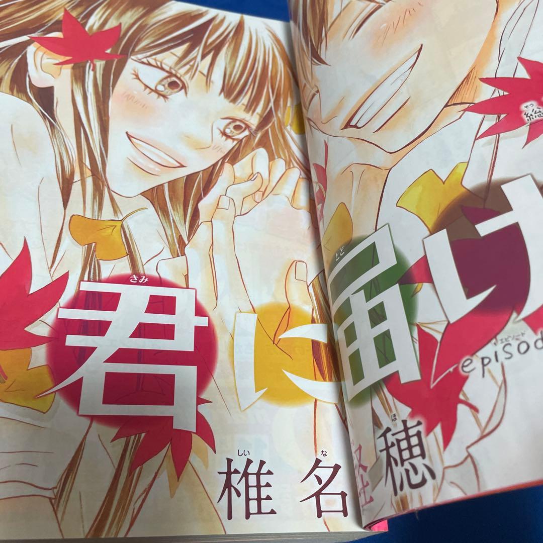 別冊マーガレット2009年11月号