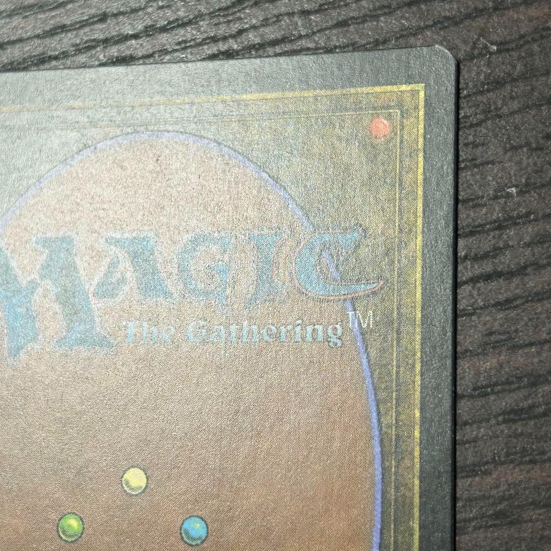 【初版日本語Foil】《霧深い雨林/Misty Rainforest》[ZEN]