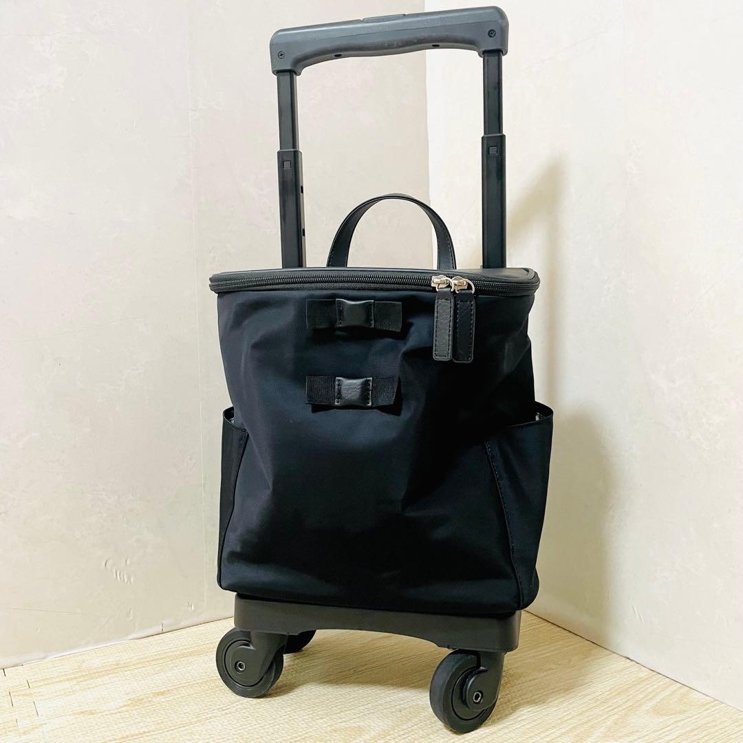 【美品】スワニー キャリーバッグ アミーカ 4輪ストッパー 17L