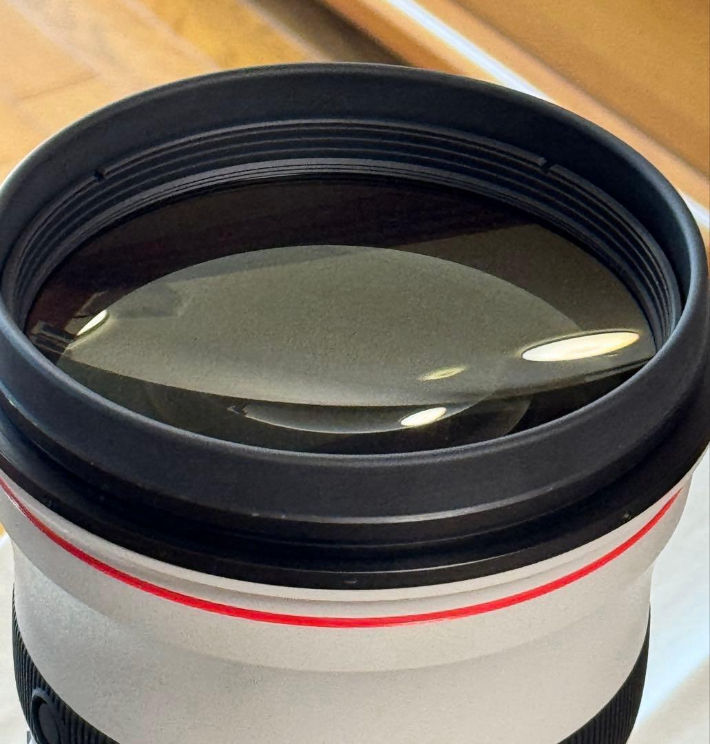 キャノン大口径単焦点レンズ EF500mm F4L IS II USM