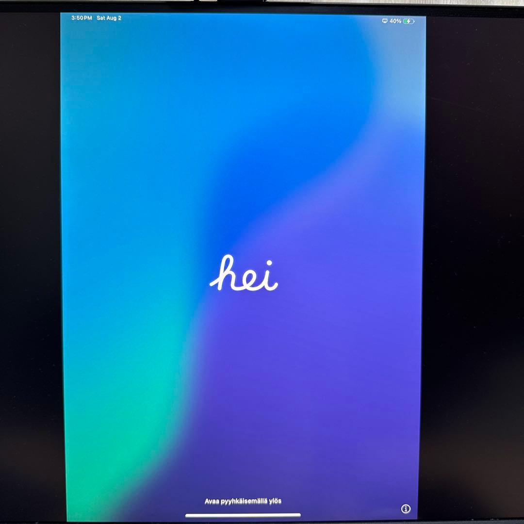 【ジャンク】Apple iPad Pro M4 11シルバー