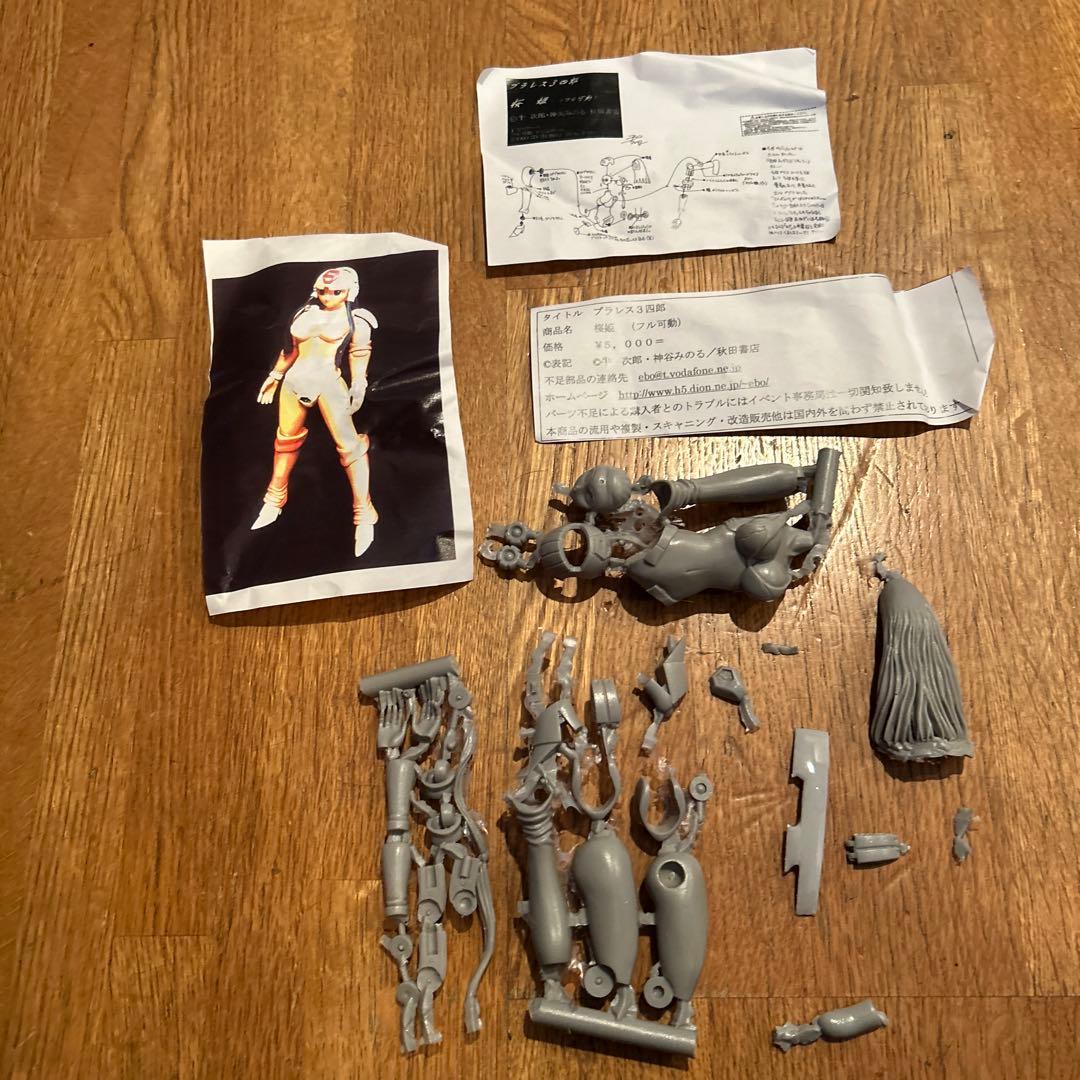 プラレス3四郎　桜姫　フル可動　ガレージキット