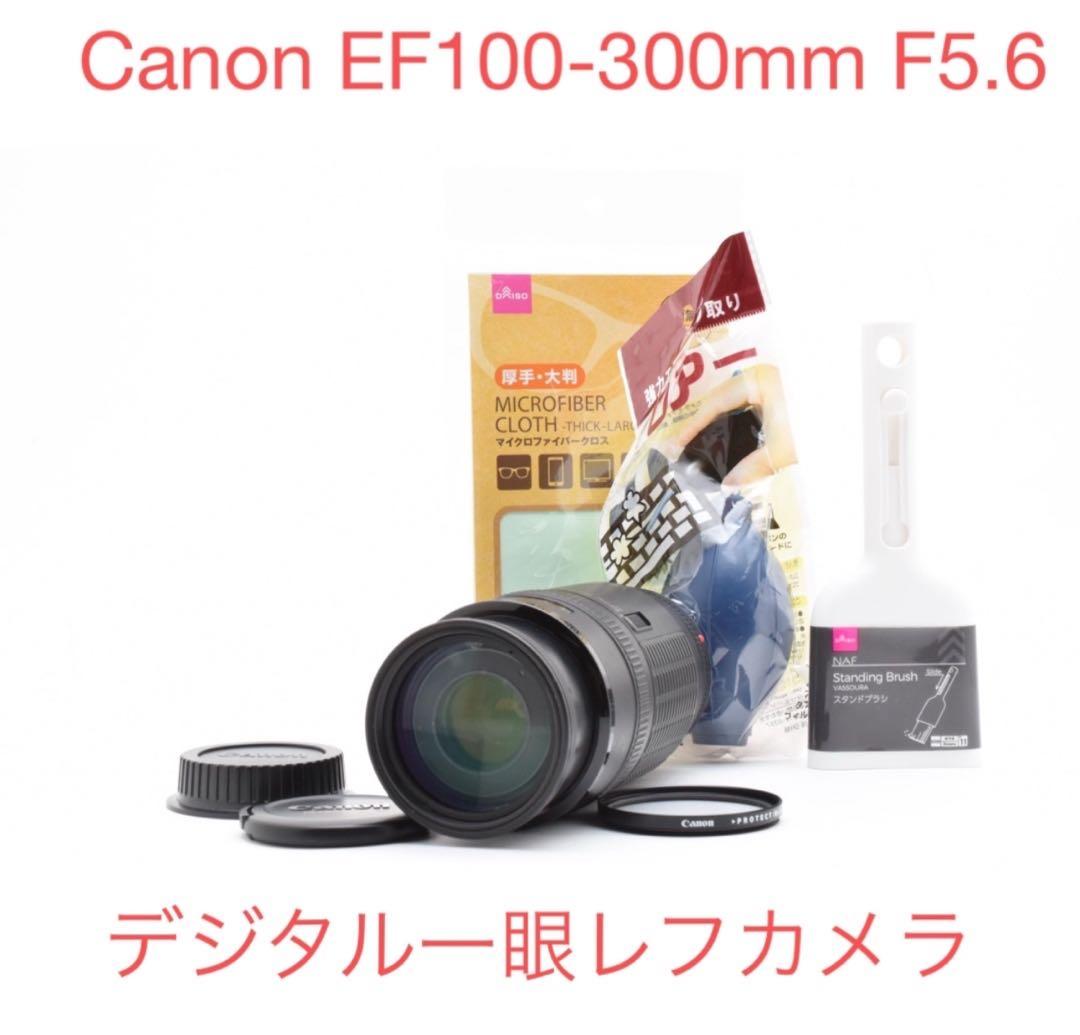 デジタル一眼レフカメラ　Canon EF100-300mm F5.6