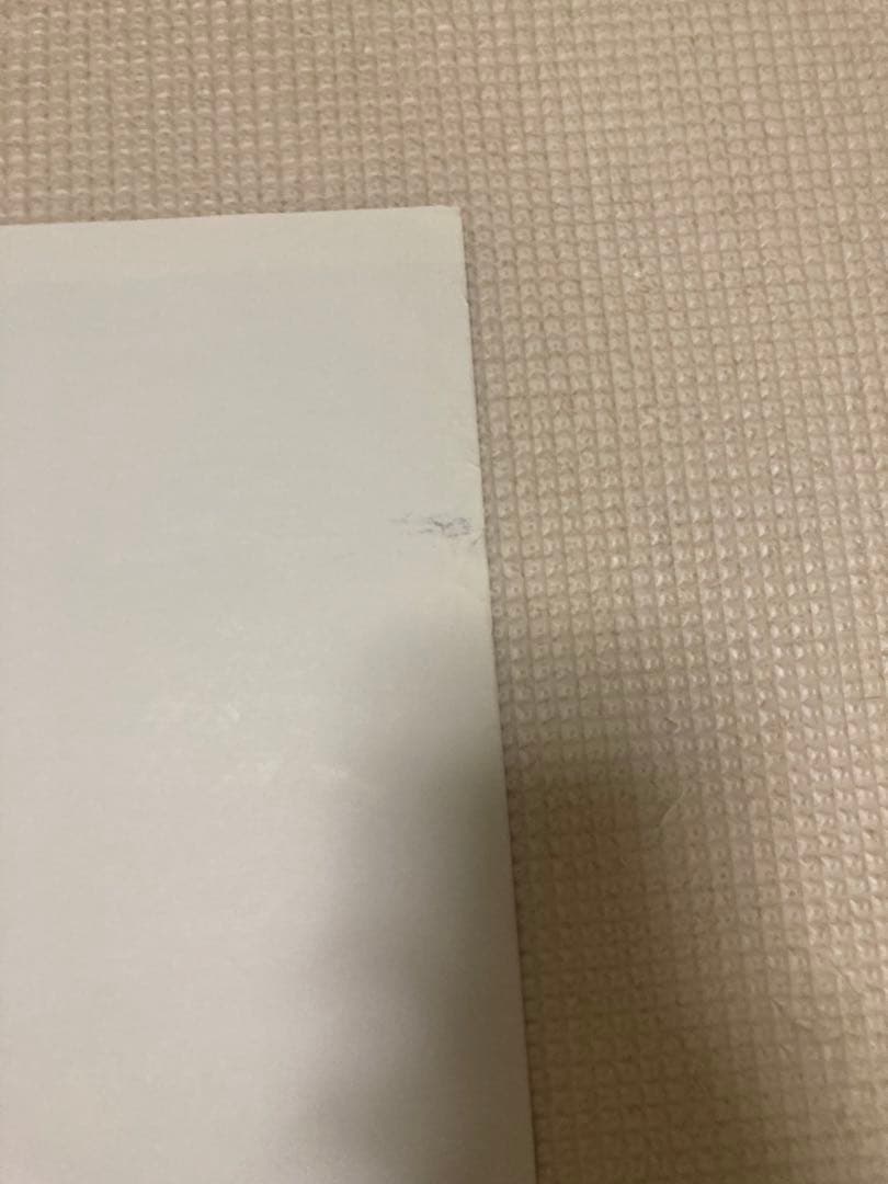 レスリーチャン　ポスター　forever