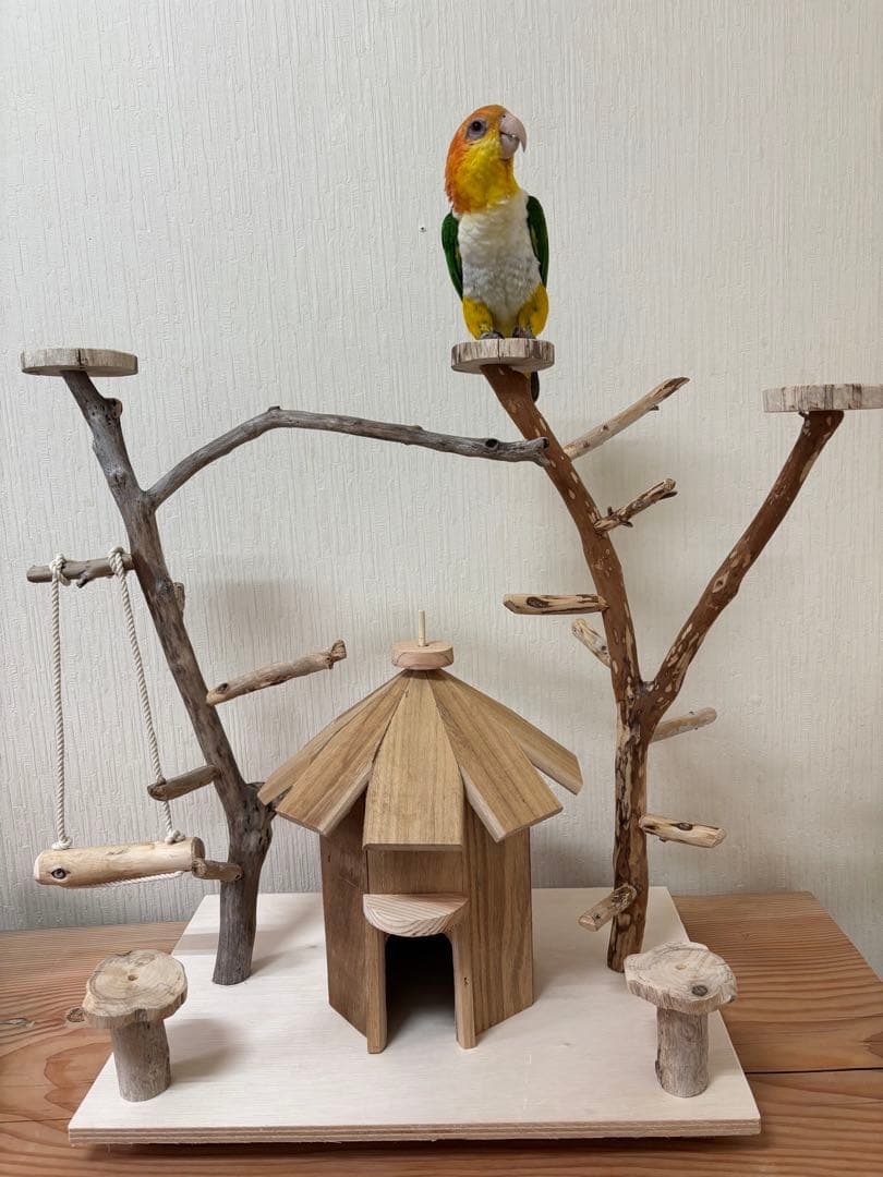 鳥インコ止まり木 流木バードアスレチック 中サイズバードジムバードトイパーチ