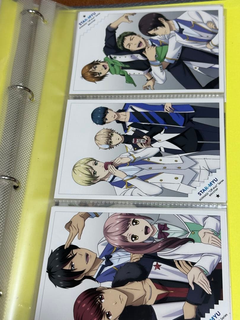 アニメイトガールズフェスティバル スタミュ 2016 ブロマイド バインダー付き