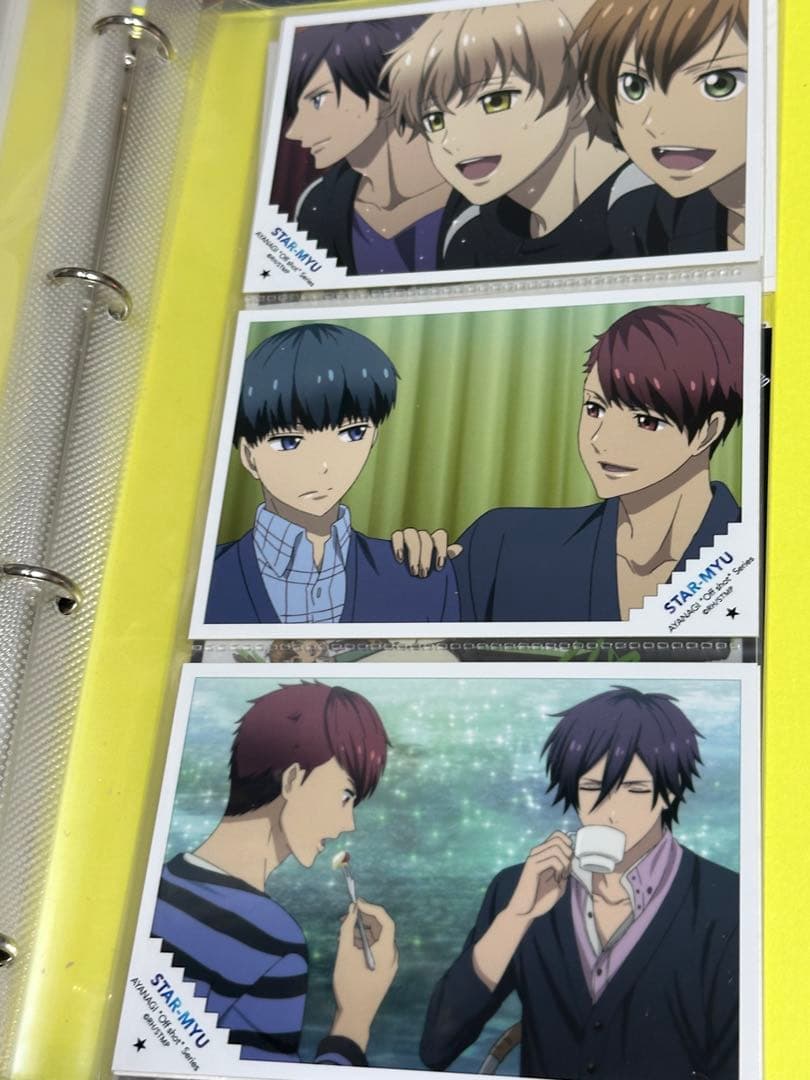 アニメイトガールズフェスティバル スタミュ 2016 ブロマイド バインダー付き
