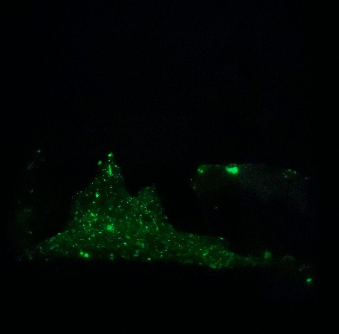 海洋堂　ムーミンヴィネットフィギュア　ムーミン谷の冬　改造ディスプレイ