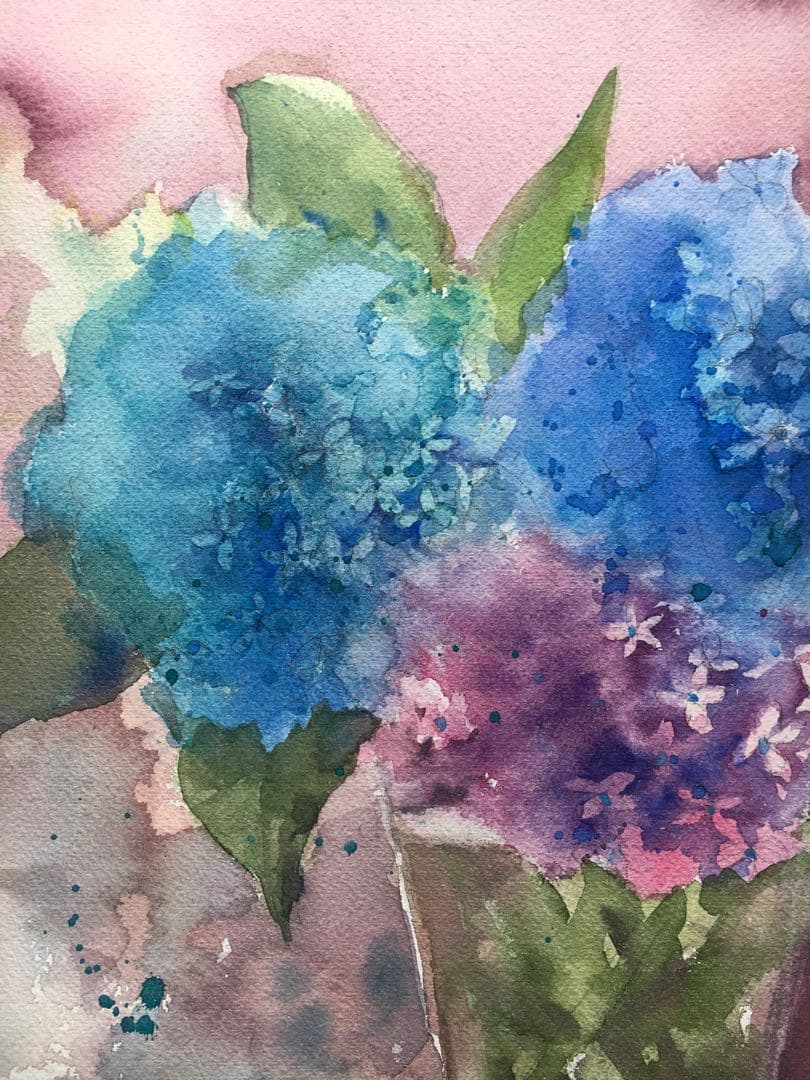 透明水彩原画紫陽花