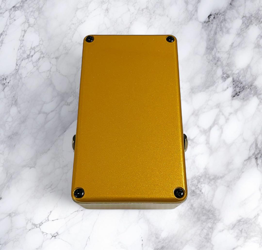 ギター CARL MARTIN PLEXITONE SINGLE CHANNEL