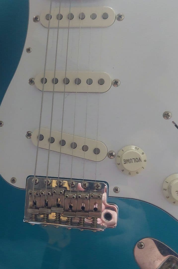 CoolZ ZST-V/R フジゲン（FGN )製