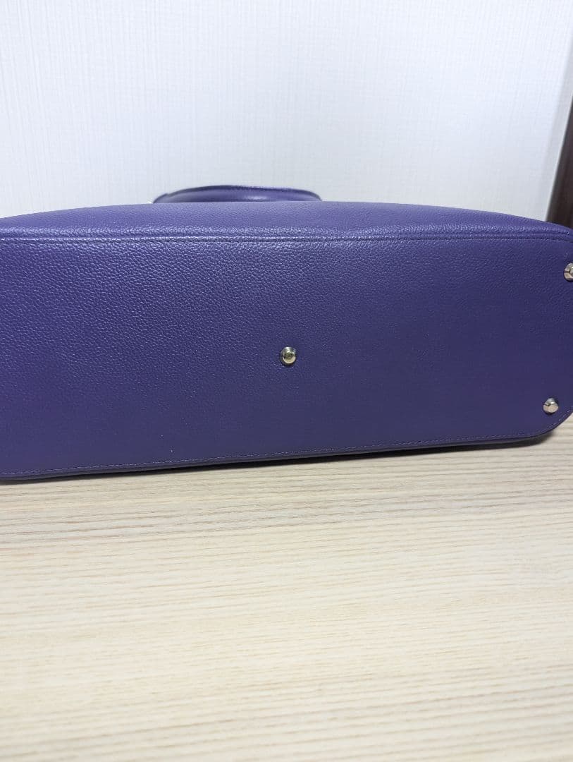 美品　限定色　Business Leather Factory　ブガッティバッグ