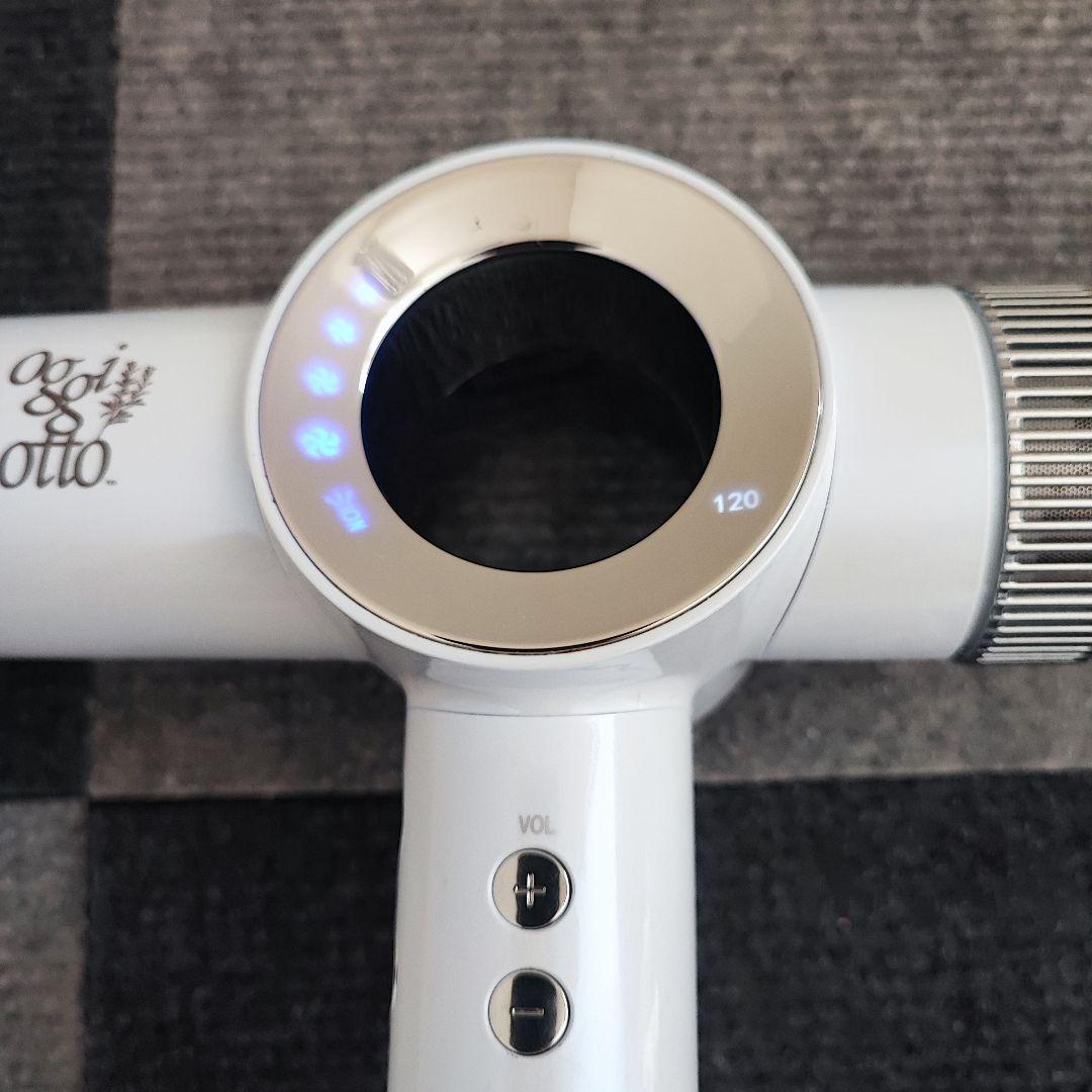 Oggiotto ドライヤー オッジィオット トゥルートリートメントプロ PRO