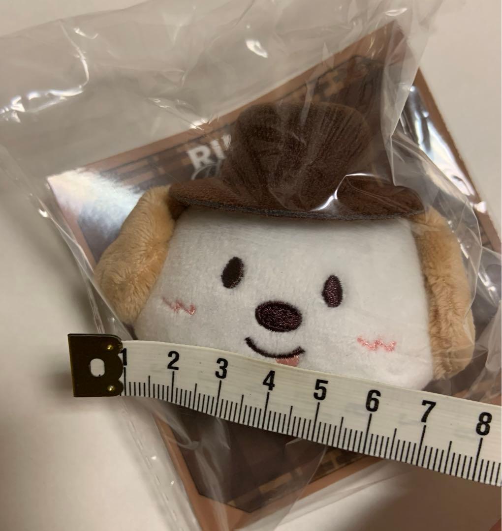 アントン【未使用・未開封・匿名配送】ぬいぐるみバッジ、モンリョンイ