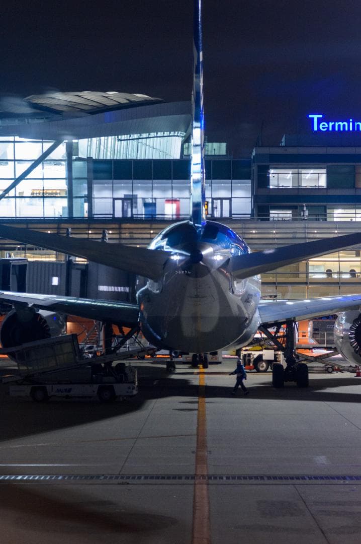 貴重な絶版マクロ！Zeiss Makro-Planar 100mm f2 ZF