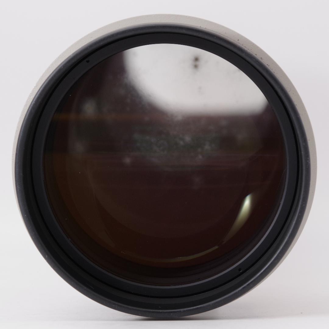 レンズ(単焦点) CANON EF 300mm F2.8 L ULTRASONIC