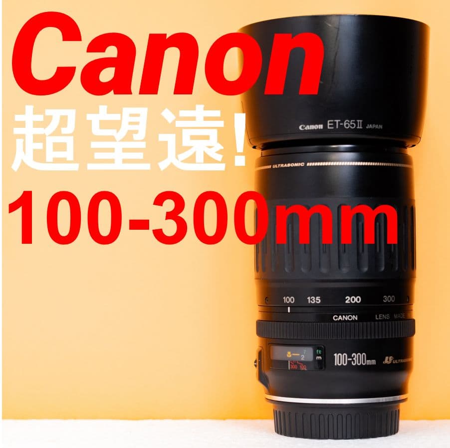 スポーツ/イベント/望遠レンズ/キヤノンCanon EF 70-300mm