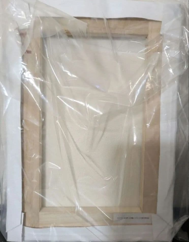 新品 ドロヘドロ キャンバスアート