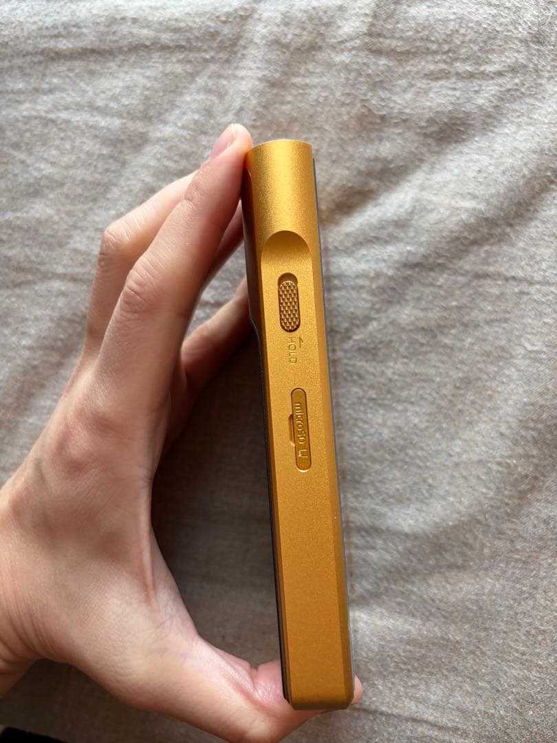 SONY NW-WM1ZM2 ゴールド　ケース付き