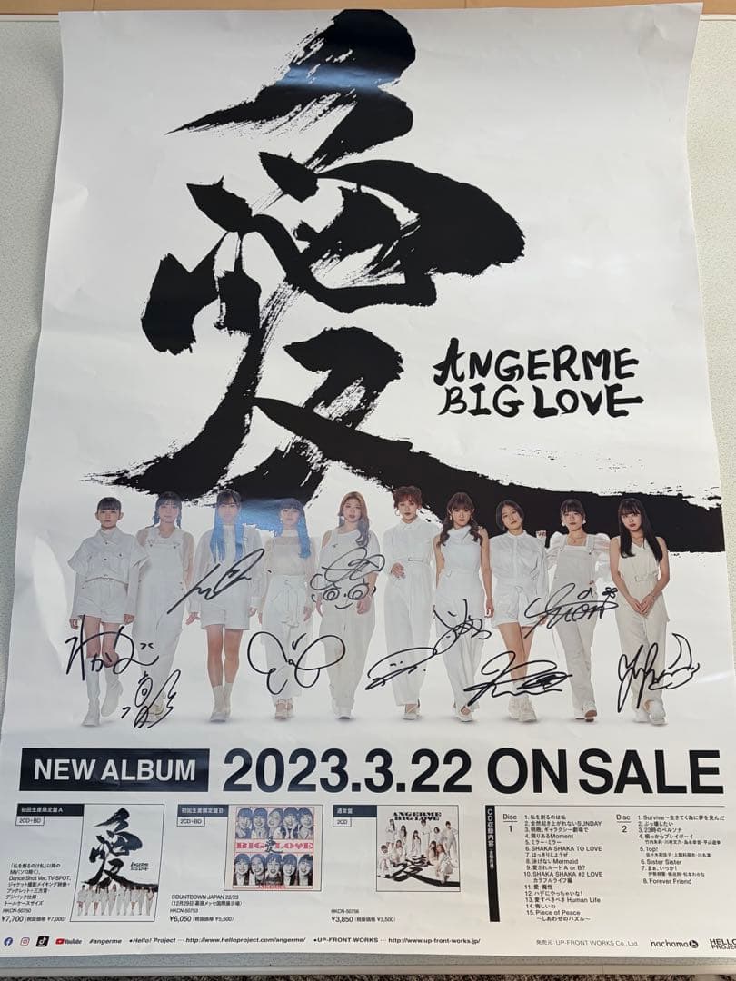 【2枚セット】【全員直筆サイン】　アンジュルム ポスター