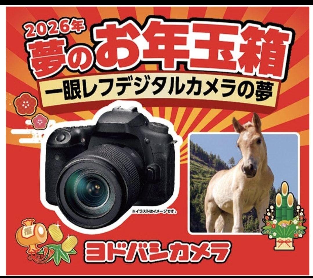ヨドバシカメラ　一眼レフデジタルカメラの夢　Canon EOS 90D
