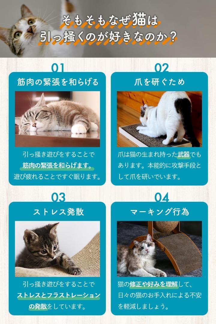 ☆ 爪とぎ つめとぎ 猫の爪研ぎ 組み立て簡単 大きいボール