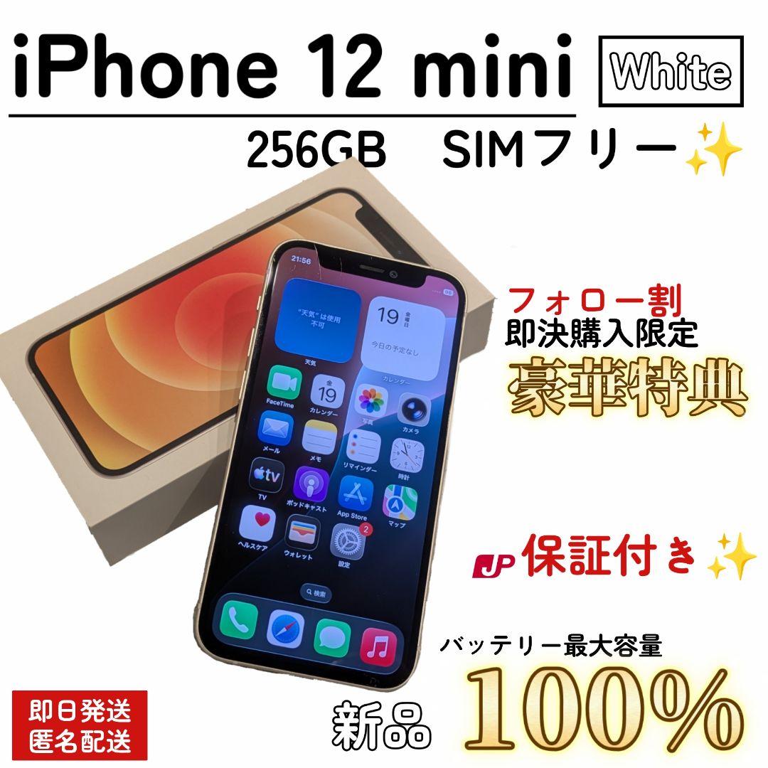 【美品/即発送】iPhone 12 mini 256GB 100% SIMフリー