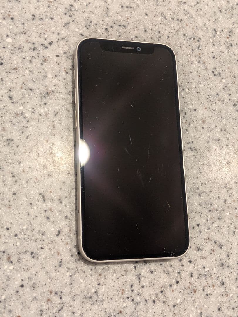 【美品/即発送】iPhone 12 mini 256GB 100% SIMフリー