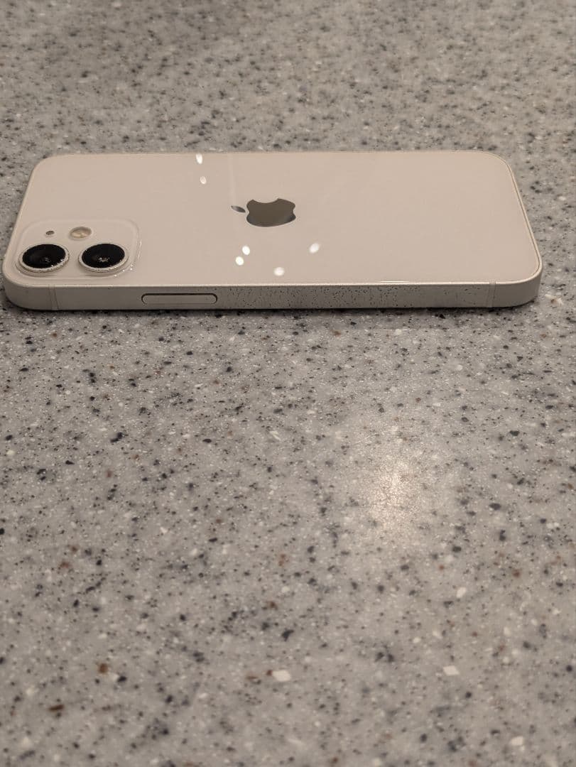 【美品/即発送】iPhone 12 mini 256GB 100% SIMフリー