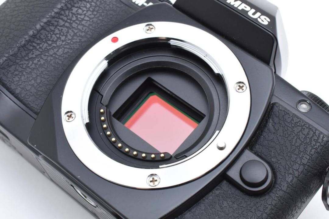 OLYMPUS OM-D E-M10 ダブルズームキット ブラック