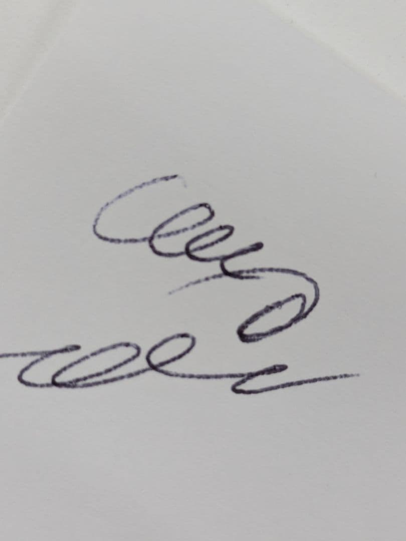 モンブラン ビートルズ　スペシャルエディション ボールペン