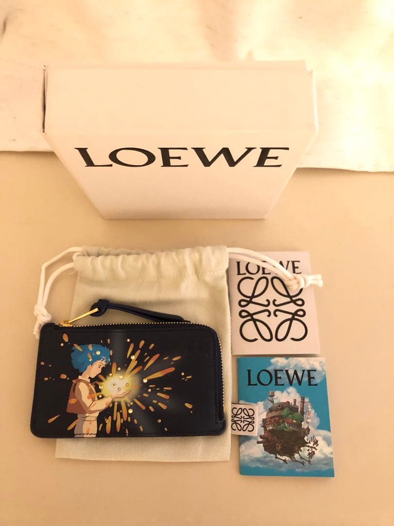 ロエベ　ハウル　ケース