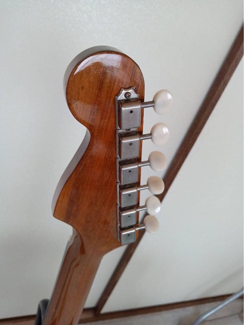 Fender Catalina 花子アコースティックギター(ハードケース付き)