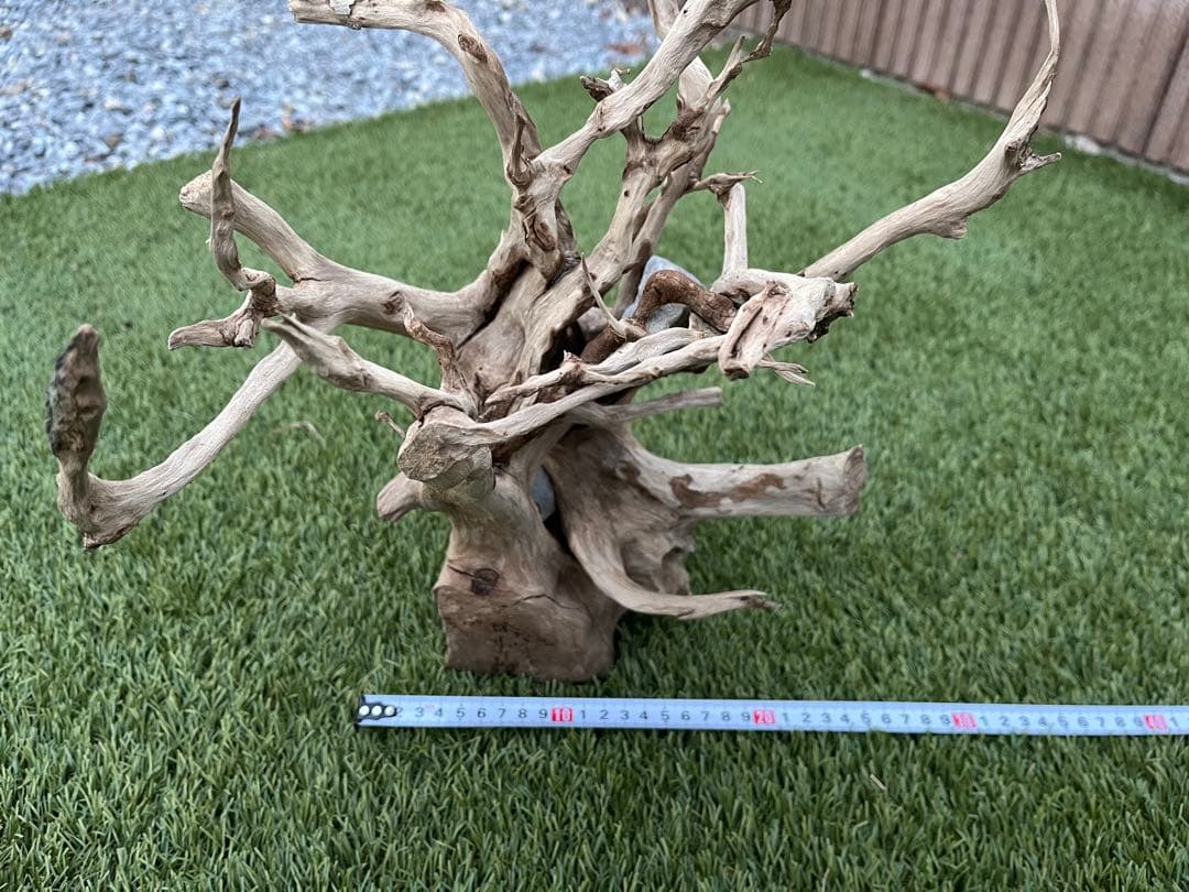 流木 約30cm 自然な形状