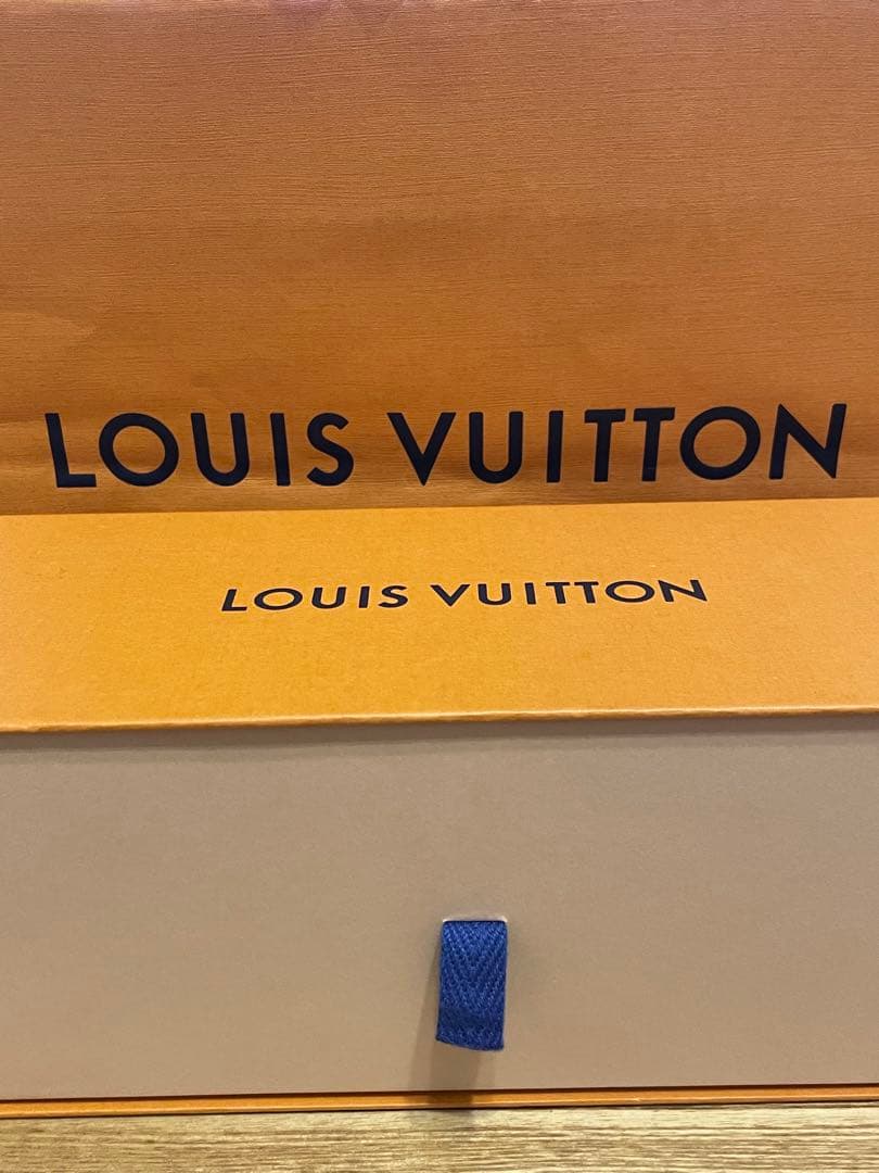 OK 未使用品Louis Vuitton ペンケース　モノグラム ヒョウ柄