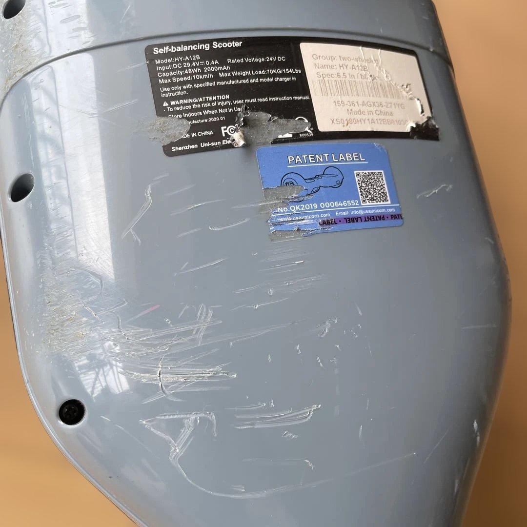 セルフ バランススクーター　ミニセグウェイ 立ち乗り二輪　ブラック 充電器付き