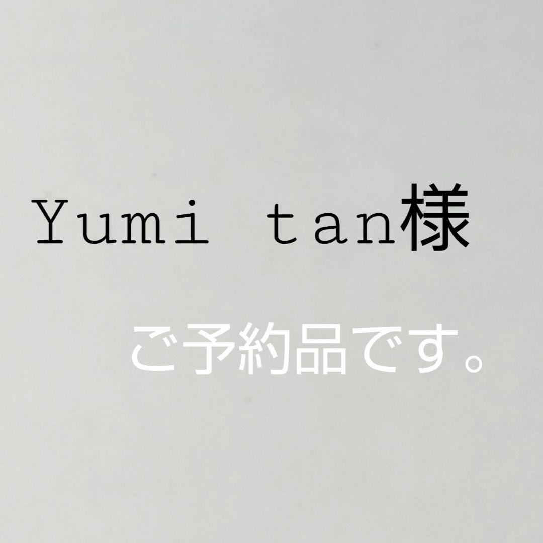 Yumi tan様 惣錆地　朱泥二度塗　蓋付き椀10客 木箱　和紙袋付