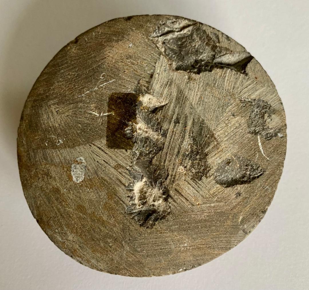 モロッコ産　アンモナイト　化石　⑰