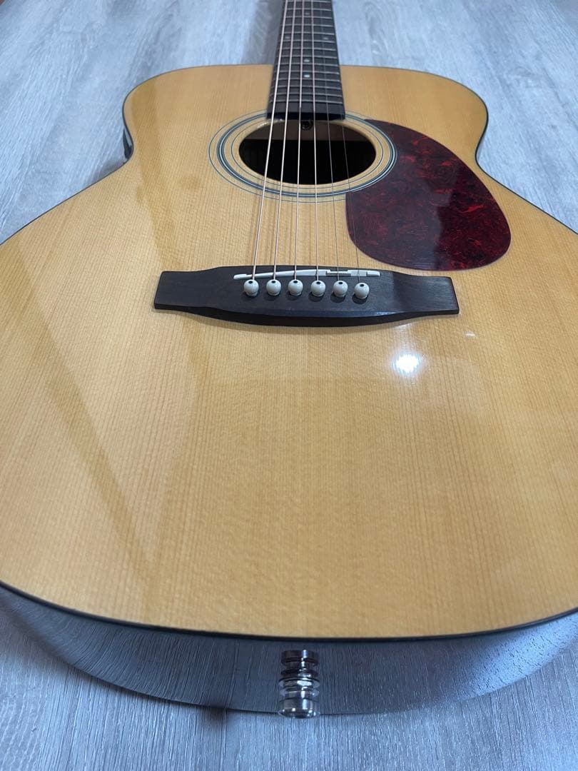 【送料込】Stafford SF-200F FISHMANエレアコ仕様