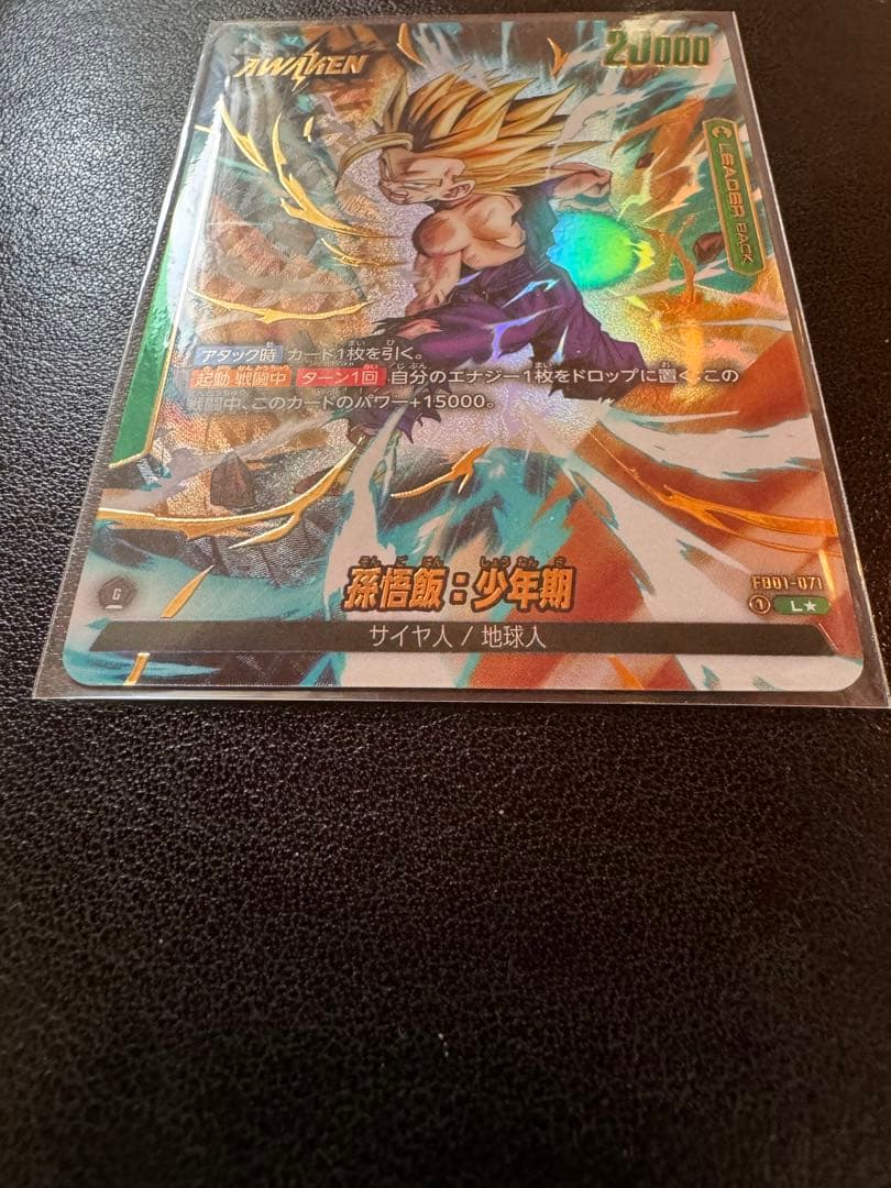 孫悟飯リーダーパラレル　　孫悟飯少年期sec