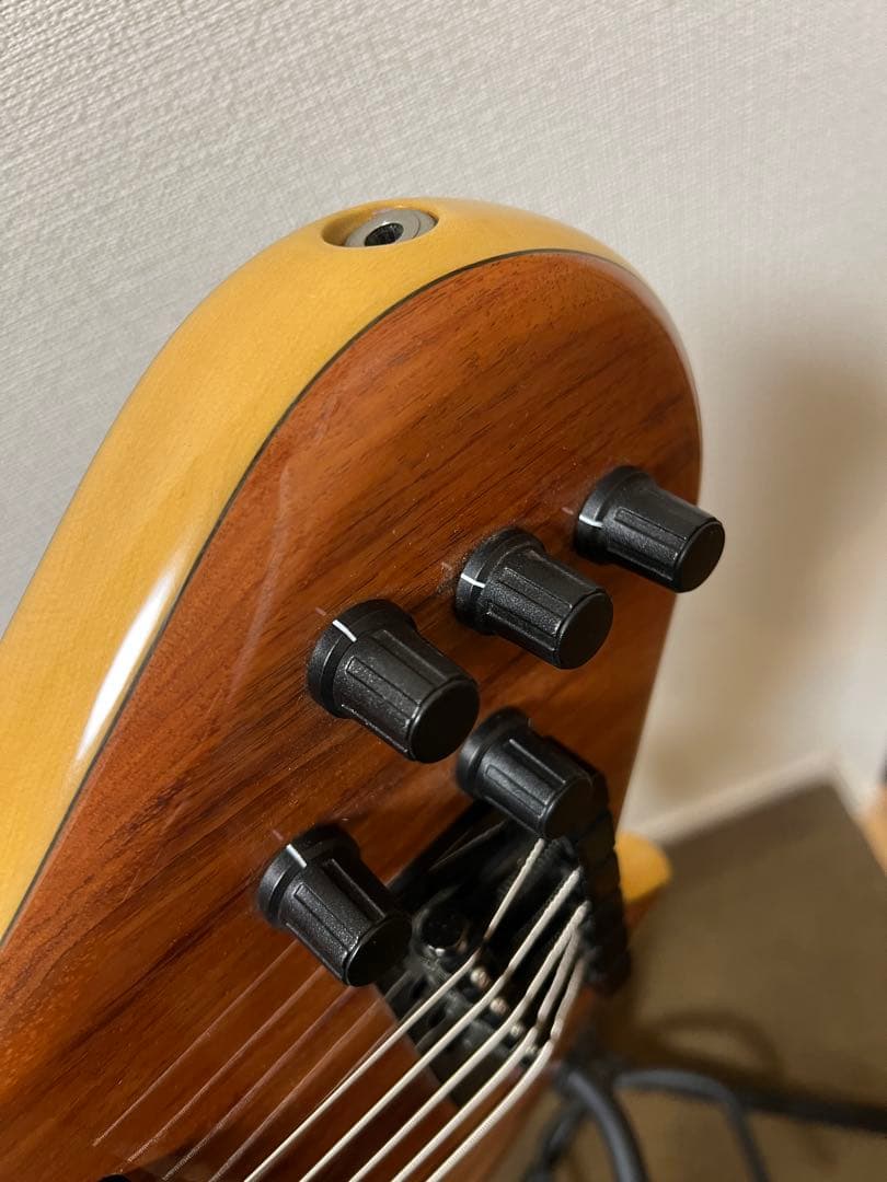 TUNE TS-365 / 5strings model 5弦フレットレスベース